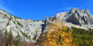 Urlaub in Niederösterreich